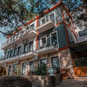 Camlik Deniz Yildizi Ayvalı