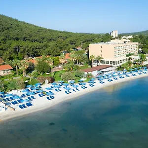 D - Ayvalı