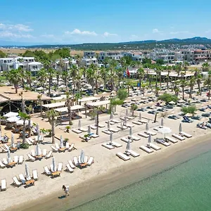 Sea Ayvalı