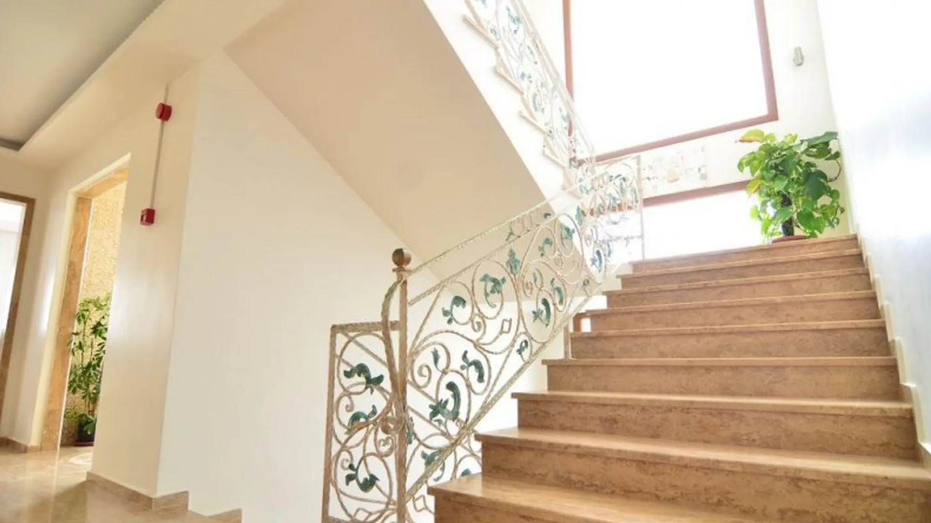 Cunda Paradise Butik Otel Ayvalı فندق